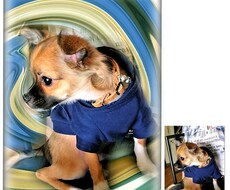 ペットの写真を「空彩画」アートに創作します イメージ1