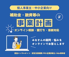 補助金・融資向け事業計画を一緒に整理します 事業計画の壁打ち・添削・方向性整理をサポート