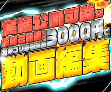 実績公開可能なご依頼を募集します 3000円であなたの動画を作らせてください！