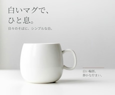商品写真と原稿から説明画像3枚を制作します イメージ1