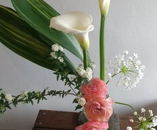 九星気学であなたが落ち込んだ時の対処法教えます イメージ1