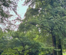 愚痴を聞きます イメージ1