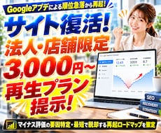グーグルアプデで飛んだ法人・店舗サイトを戻します イメージ1