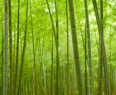 霊を避ける秘訣教えます イメージ1