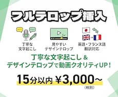 テロップ挿入お手伝いします イメージ1