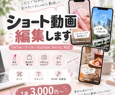 SNS向けショート動画丁寧に作成します イメージ1