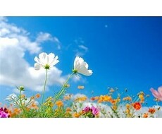 あなたの心に寄り添い、どんなお話でもお聞きします イメージ1