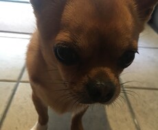 どんな小さな悩みにも寄り添います イメージ1