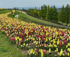 そのモヤモヤ晴らします イメージ1