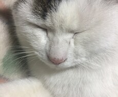 お話聞きます イメージ1