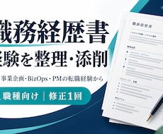 事業企画・PMの職務経歴書を整理します イメージ1