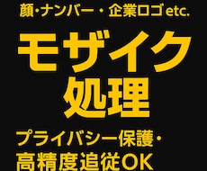 動画のモザイク処理｜顔・ナンバー・ロゴぼかします イメージ1