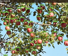 写真に写った果物をAIで自動カウントします イメージ1