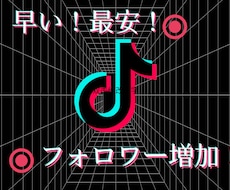 TikTokフォロワー2０００増加させます イメージ1