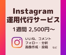 忙しいあなたの代わりにインスタの運用代行します お試し♪ターゲットに合ういいねから画像制作・分析まで！