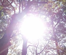 お悩みを解決します イメージ1