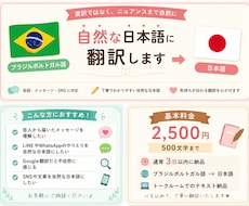 ブラジルポルトガル語を自然な日本語に翻訳します イメージ1