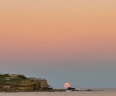 フラワームーンの写真出品します イメージ1