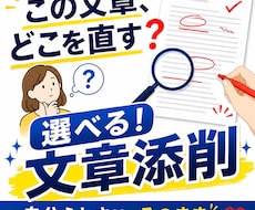 選べる！文章添削｜直す箇所は自分で選べます イメージ1