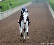競馬を予想しています