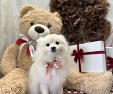 なんでもお話をお伺いします イメージ1