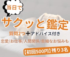 当日回答/深夜2時まで◇モヤモヤを解消します 深夜2時まで受付◆質問2つとアドバイス付きの鑑定になります