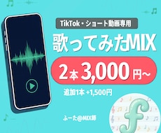 TikTok・ショート動画専用のMIXをします イメージ1