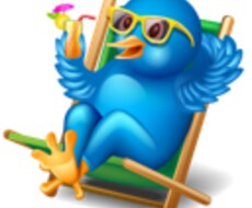 【ご注意下さい！購入者様限定】（保険付）Twitter（ツイッター）ツール最速フォロワー増加術！