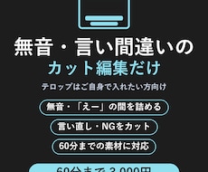 無音・言い間違いのカット編集だけします イメージ1