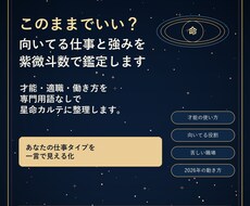 仕事運・適職と強みを紫微斗数で鑑定します イメージ1