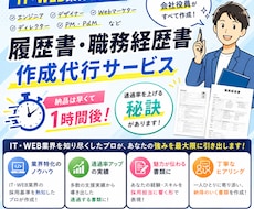 丸投げOK！めんどくさい履歴書職務経歴書作成します イメージ1