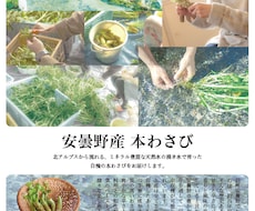 限定お試し！チラシ、フライヤーデザイン承ります お客様のイメージをしっかりヒアリングしてデザインします！