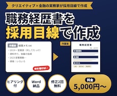 職務経歴書を採用目線で作成します イメージ1