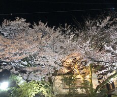 ちょっとした愚痴聞きます イメージ1