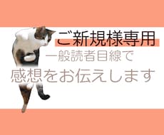 ご新規様専用☆一般読者目線から感想をお送りします 作品への感想をご希望に応じた形でお送り致します。