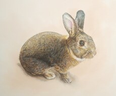 ペットの肖像画を描きます イメージ1