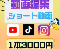 TikTok・リール・ショート動画を編集します テロップ・BGM対応！丁寧に編集します！