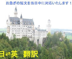 短文でお急ぎの、日本語⇔英語翻訳を承ります お急ぎの翻訳を平日の場合当日中にお届けします！