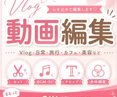 vlog　動画編集します イメージ1