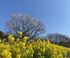 他人に話したいことを聞きます イメージ1