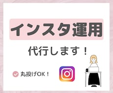 インスタのアカウント運用をします イメージ1