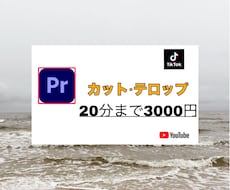 テロップ入れ、カット編集のみ動画編集いたします イメージ1