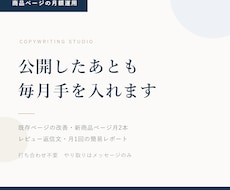 商品ページの手入れを毎月代行します イメージ1