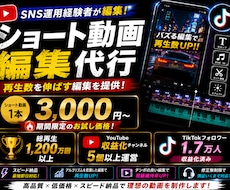 sns運用者が再生数伸特化の動画編集します イメージ1