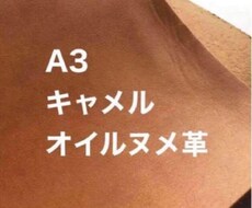 ヌメ革お譲り致します イメージ1