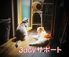 ３日間、回数無制限!!お悩み全部お伺いいたします 悩んだら全部吐き出してください、３日間しっかり寄り添います