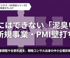 戦略コンサル出身者が新規事業の壁打ちの相談乗ります 新規事業・新産業立ち上げの「壁打ち・リサーチ」