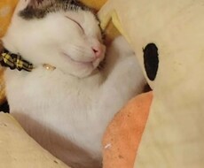 幅広くお悩みお聞きいたします イメージ1