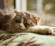 あなたのお悩みお聞きします イメージ1