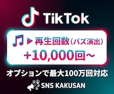 TikTok再生回数「1万回」手配します ⭐️おすすめ表示のブーストに！圧倒的なバズ演出で成長支援